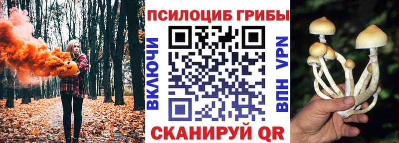 Галлюциногенные грибы Psilocybine cubensis  закладка  Севск 